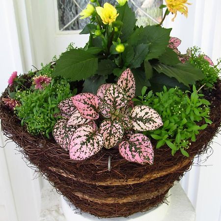 Bisland House Bed And Breakfast Натчез Екстер'єр фото